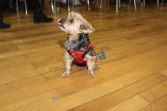 21.12.16 Noël à St-Barthélemy