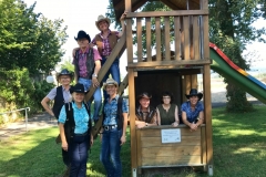 Démo EMS Goumoëns 07.2018